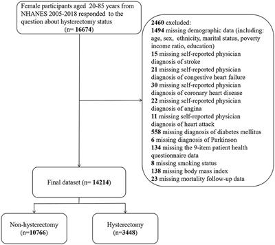 Association between hysterectomy status and stroke risk and cause-specific and all-cause mortality: evidence from the 2005–2018 National Health and Nutrition Examination Survey